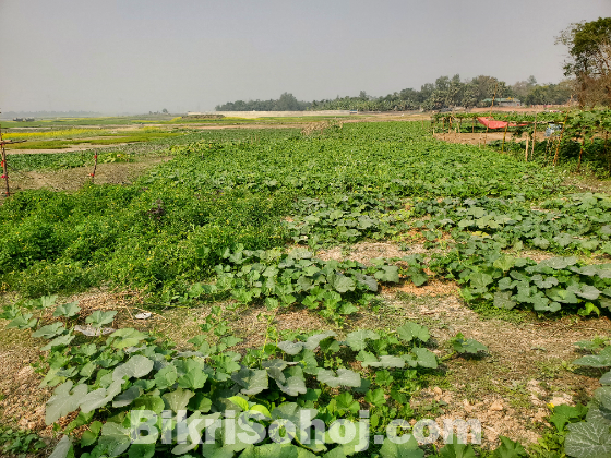 জমি বিক্রয়